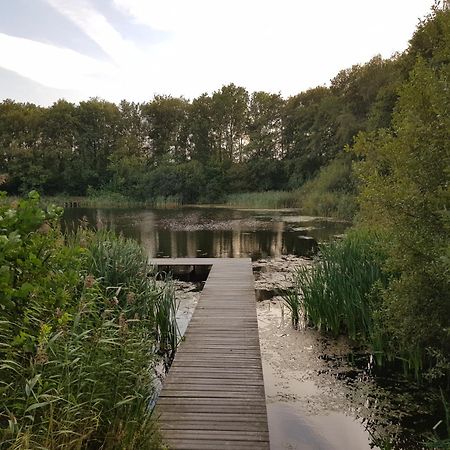 Onder De Beukenboom Lejlighed Nieuwe Pekela Eksteriør billede