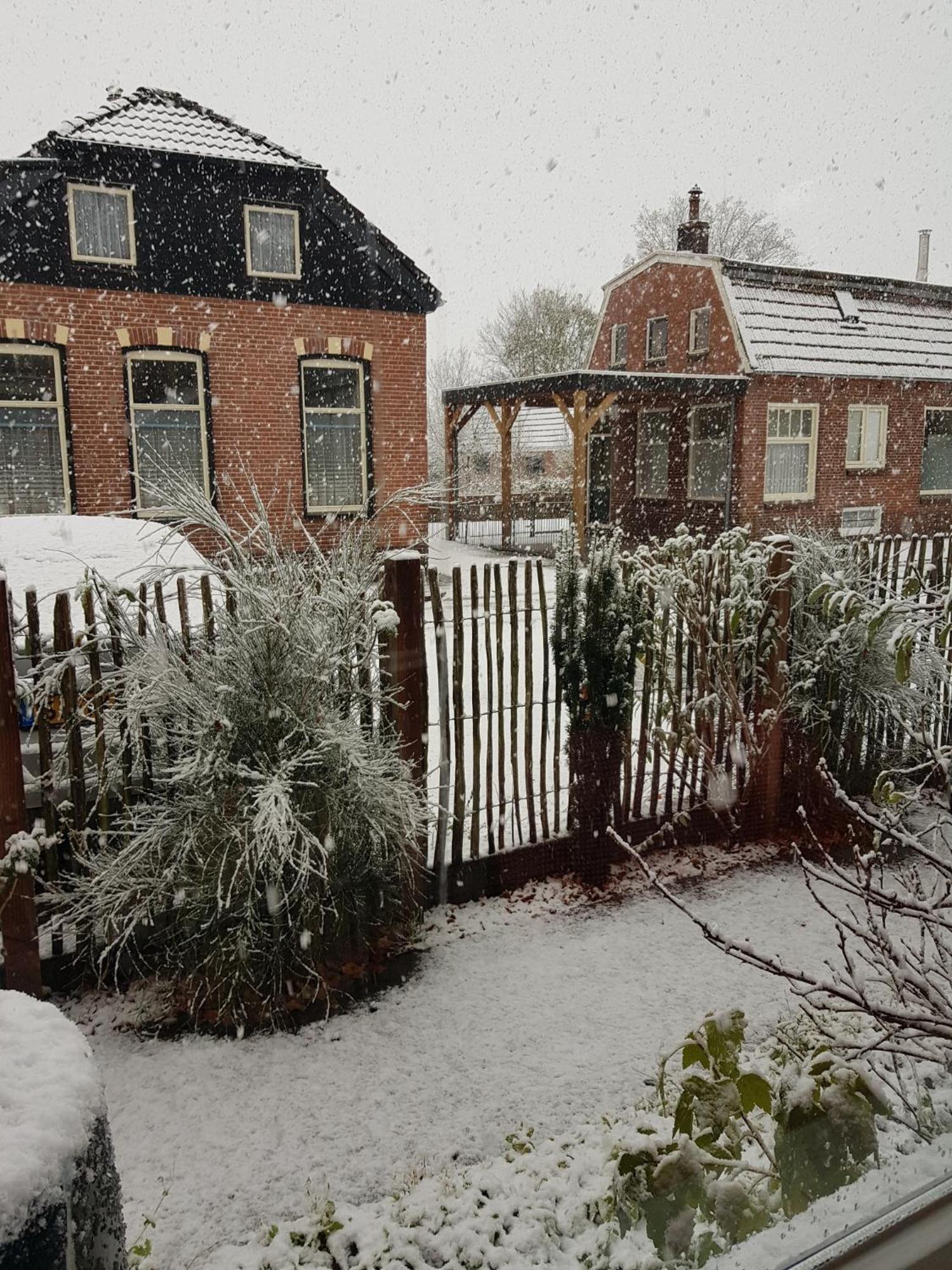 Onder De Beukenboom Lejlighed Nieuwe Pekela Eksteriør billede